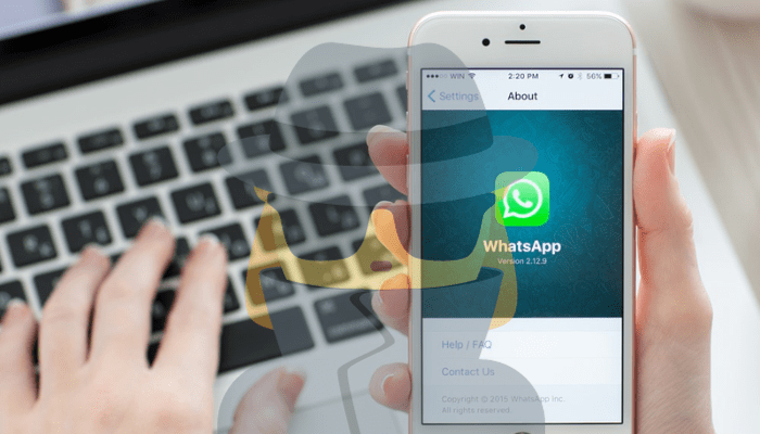 WhatsApp message spy learn how to use, download and install