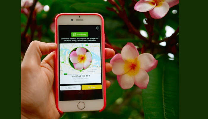 Discover Plant Species with Just One Click